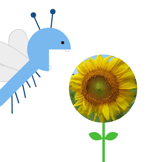 An animation of a fictitious, flying insect eating a sunflower.